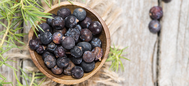 juniper berries uses