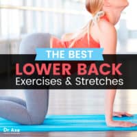 Lower Back Exercises & Stretches for a Strong, Pain-Free Back - Dr. Axe