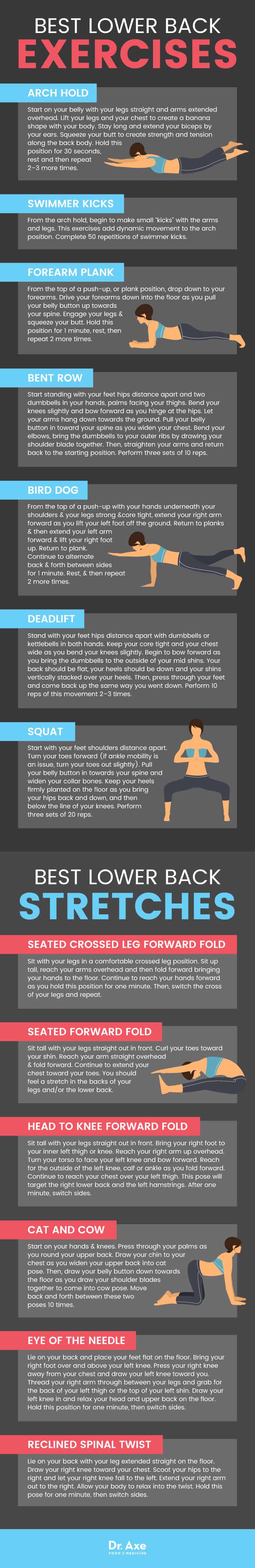 Lower Back Exercises & Stretches for a Strong, Pain-Free Back - Dr. Axe