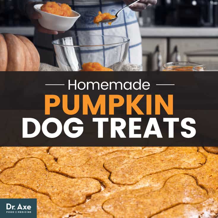 Homemade Pumpkin dog treats - Dr. Axe