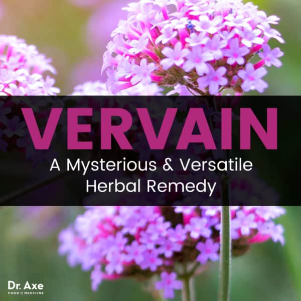 Vervain 5 Health Benefits of a Mystical Herbal Remedy Dr. Axe