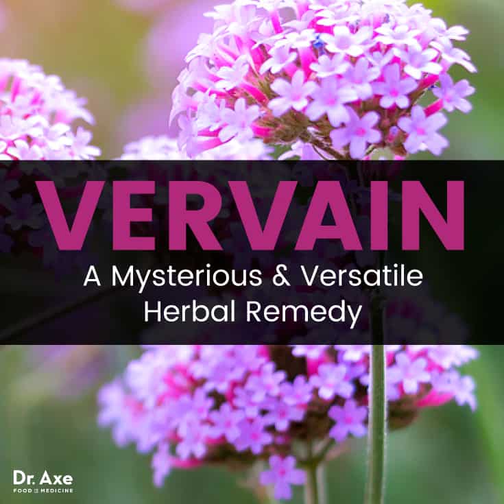 Vervain - Dr Axe