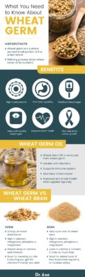 Wheat Germ Benefits, Nutrition, Recipes and Side Effects - Dr. Axe