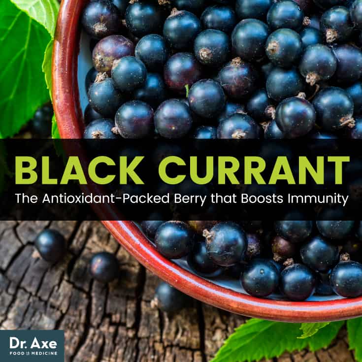 Black currant - Dr. Axe