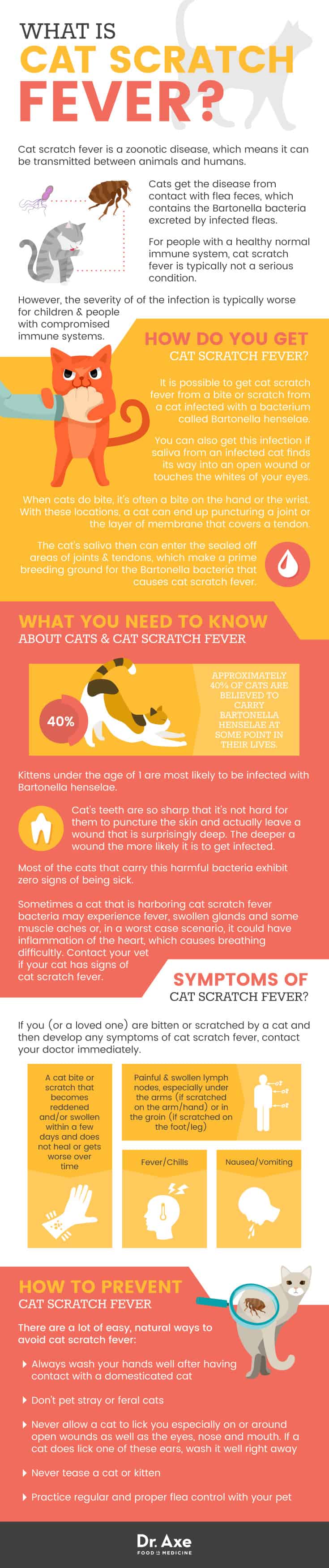 Cat scratch fever - Dr. Axe