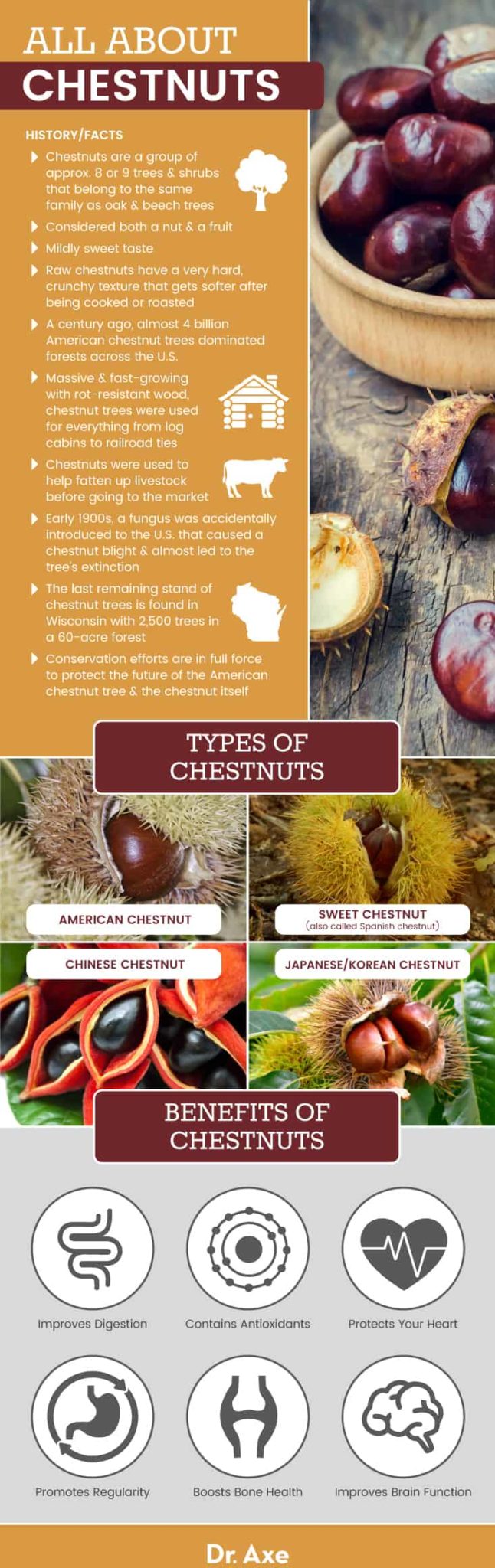 Chestnut Benefits, Nutrition, Recipes, How to Roast and More Dr. Axe
