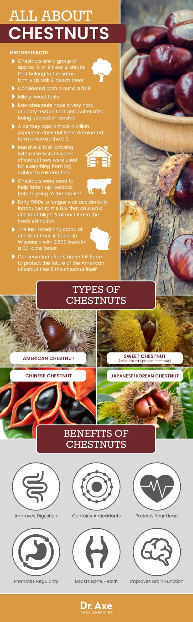 All about chestnuts - Dr. Axe