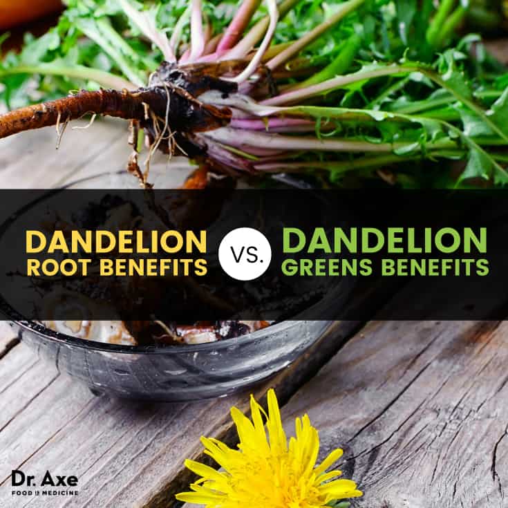 Dandelion root vs. dandelion greens - Dr. Axe