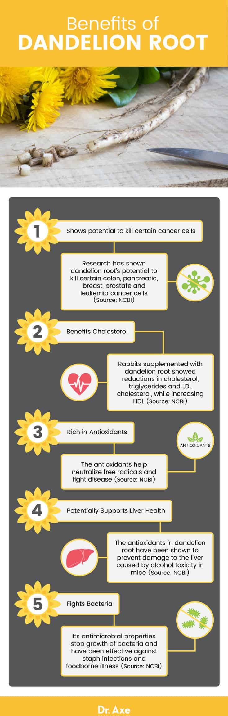 Dandelion root benefits - Dr. Axe