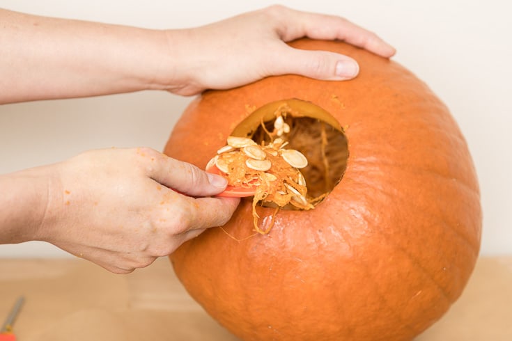 How to carve a pumpkin steps: guts & seeds