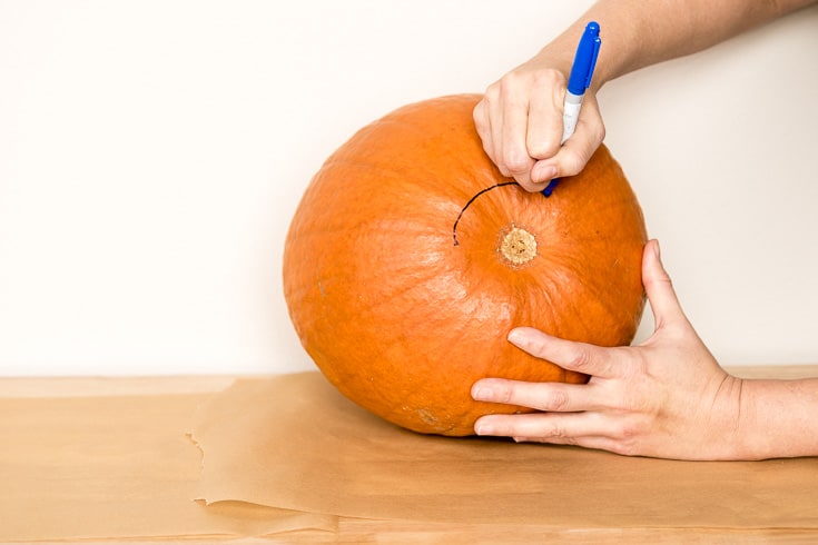 How to carve a pumpkin steps: first cut