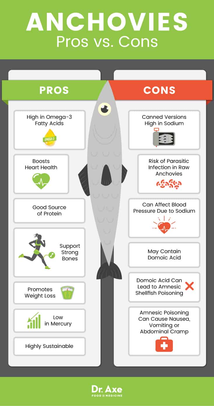Anchovies pros vs. cons - Dr. Axe