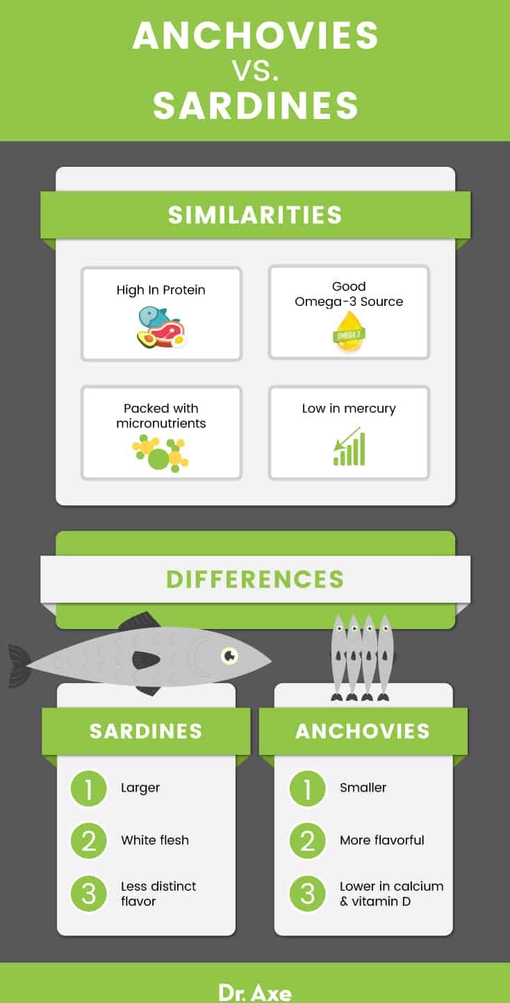 Anchovies vs. sardines - Dr. Axe