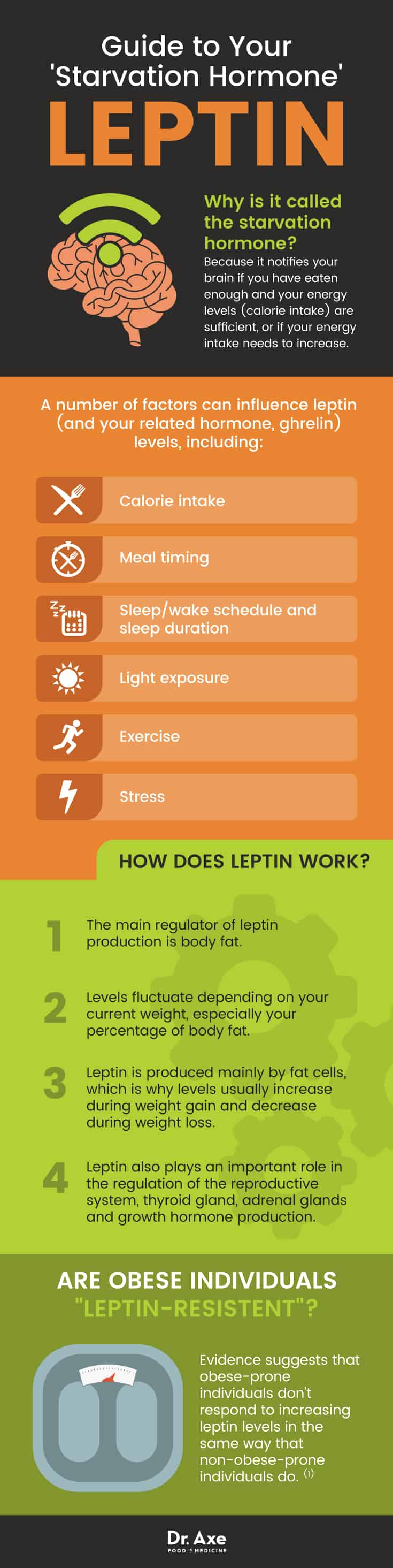 Leptin How To Turn On This Fat Burning Hormone Dr Axe 