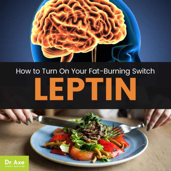 Leptin: How To Turn On This Fat-Burning Hormone - Dr. Axe