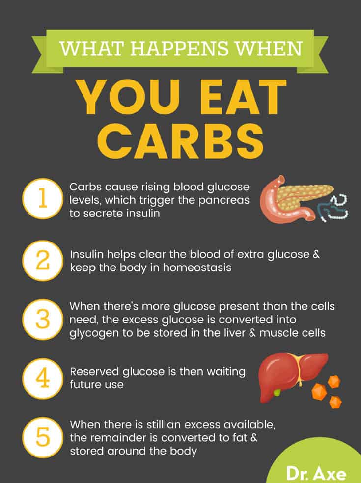 What happens when you eat carbs - Dr. Axe