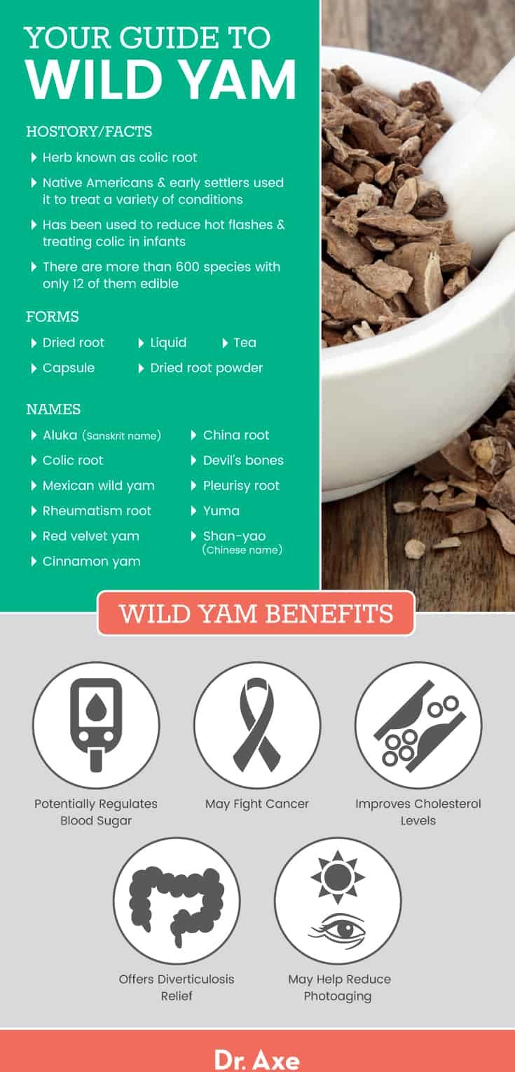 Wild Yam Benefits Uses Supplements Dosage and Side Effects Dr