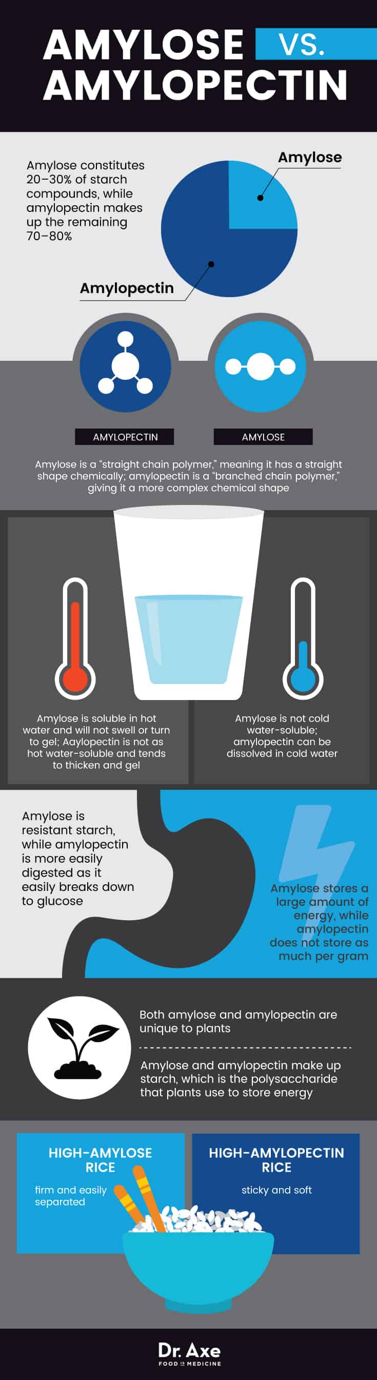 Amylose vs. amylopectin - Dr. Axe