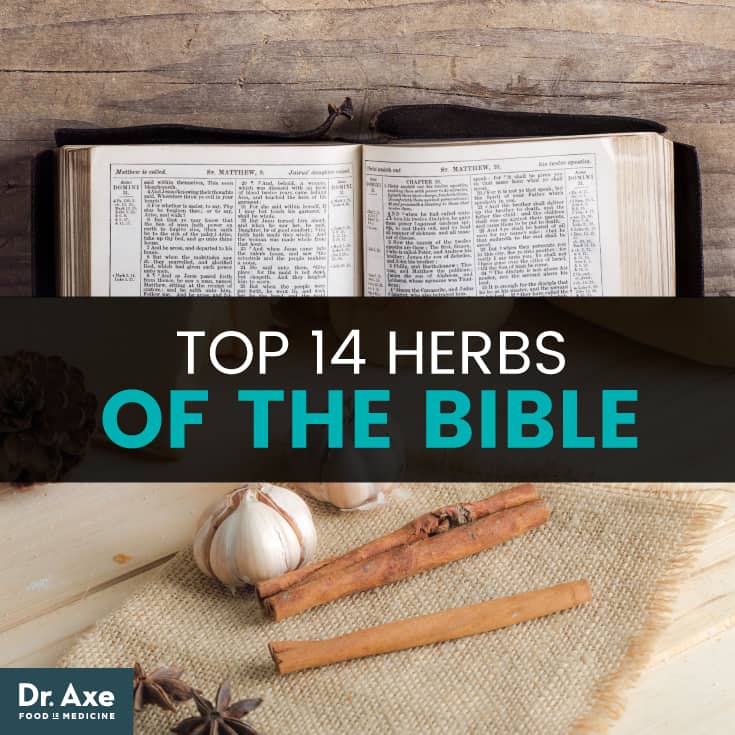 Top herbs of the bible - Dr. Axe
