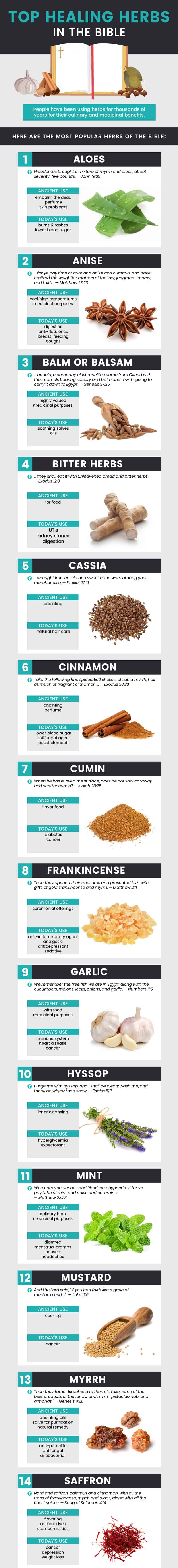 Guide to bible herbs - Dr. Axe