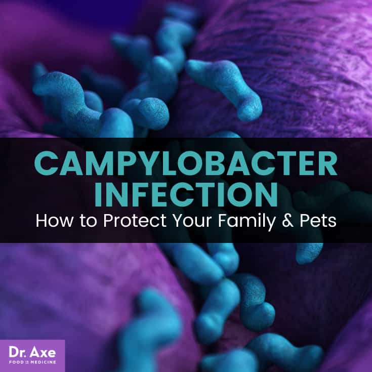Campylobacter infection - Dr. Axe