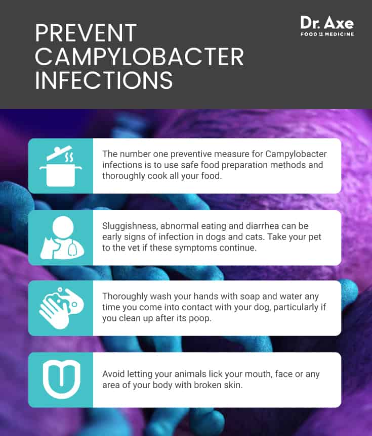 Prevent campylobacter - Dr. Axe