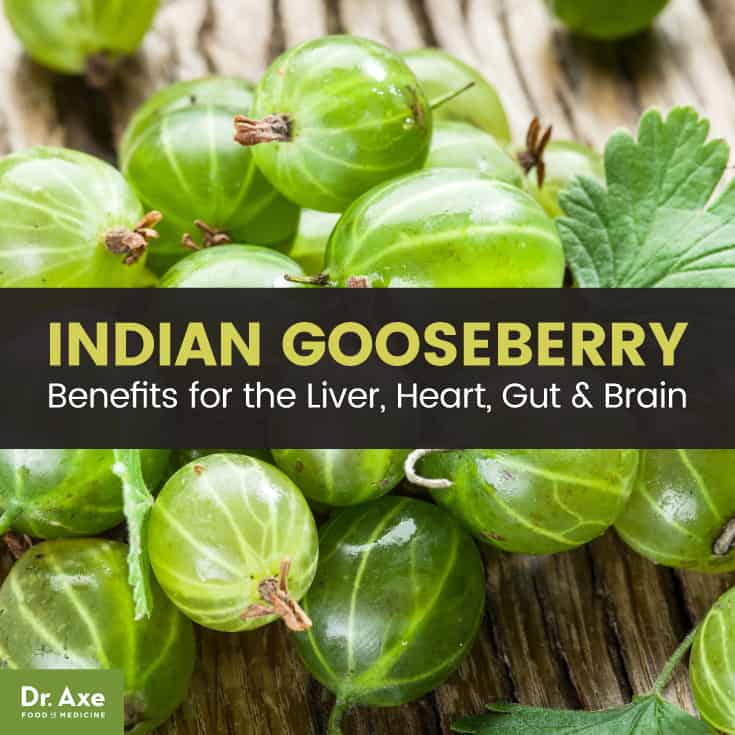 Indian Gooseberry Benefits For The Liver, Heart, Gut & Brain | Best ...