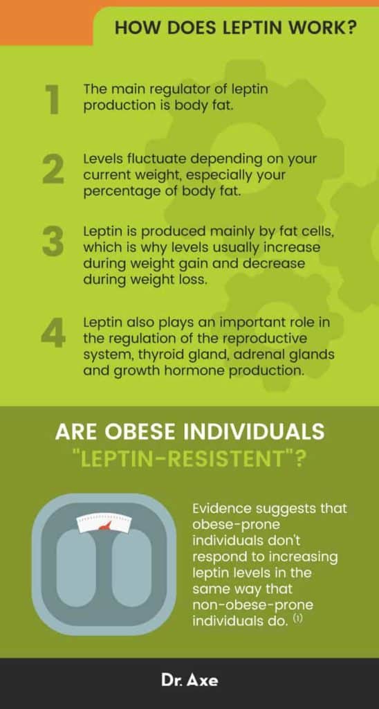 What Is Leptin? How to Increase It and Fight Resistance Dr. Axe