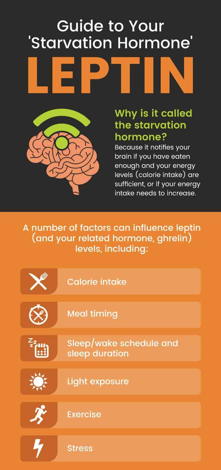 What Is Leptin How to Increase It and Fight Resistance Dr. Axe