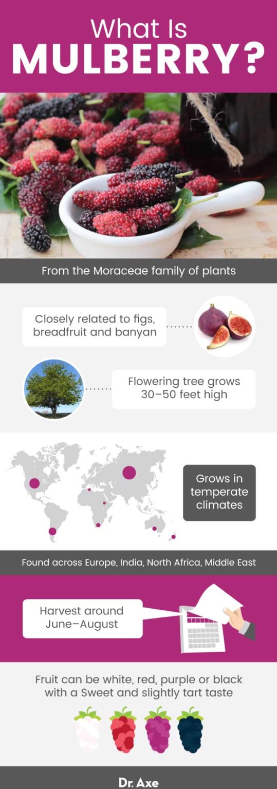 mulberry-fruit-benefits-nutrition-recipes-and-side-effects-dr-axe