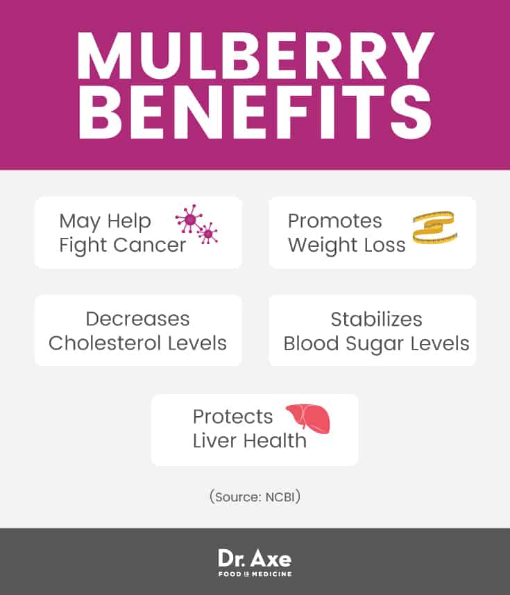 Mulberry benefits - Dr. Axe