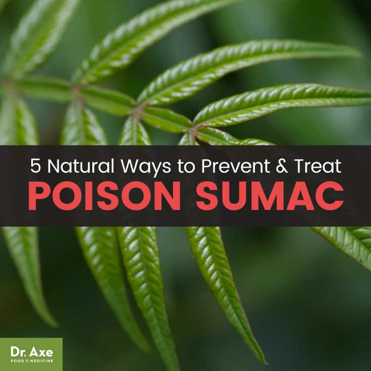 Poison sumac - Dr. Axe 