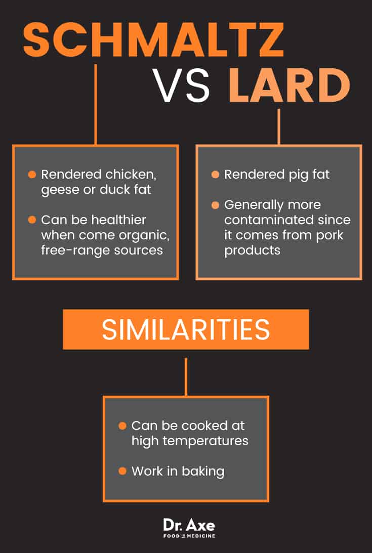 Schmaltz vs. lard - Dr. Axe