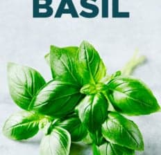 Basil - Dr. Axe