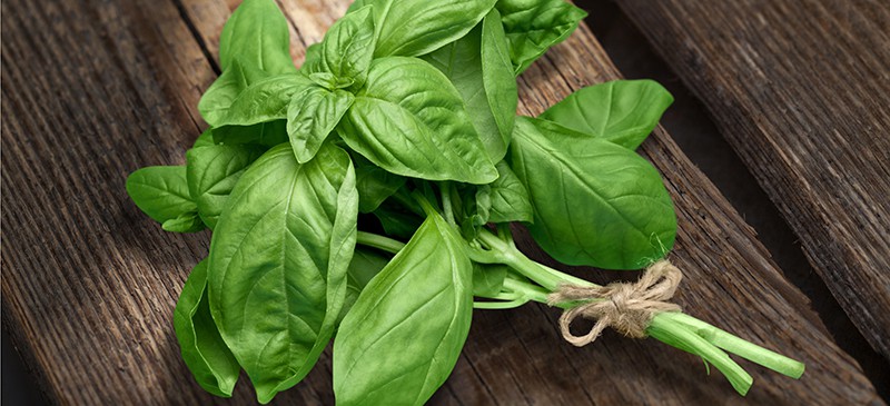 Benefits of basil - Dr. Axe