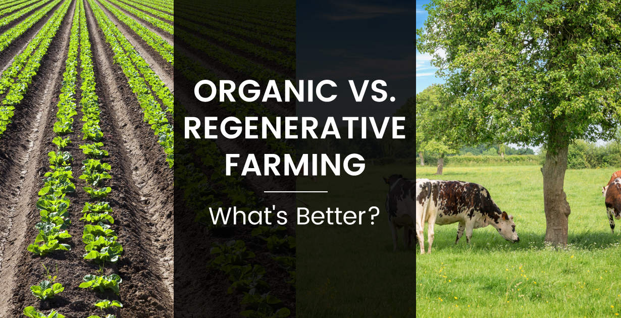 regenerative-agriculture-principles-why-different-than-organic-dr-axe