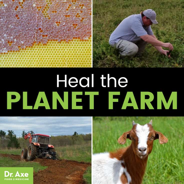 Heal the planet farm - Dr. Axe
