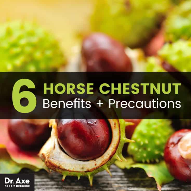 Horse chestnut benefits & precautions - Dr. Axe
