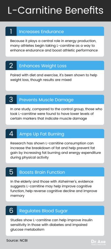 L-Carnitine Benefits Endurance, Fat Burning & Brain Function - Dr. Axe