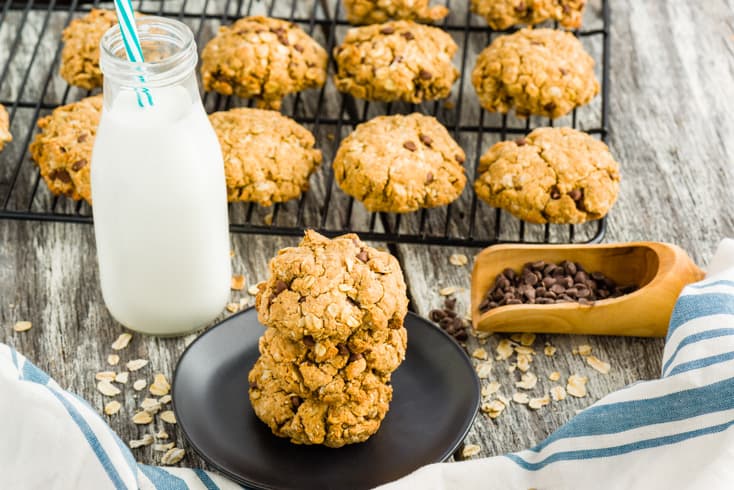 Oatmeal cookie recipe - Dr. Axe