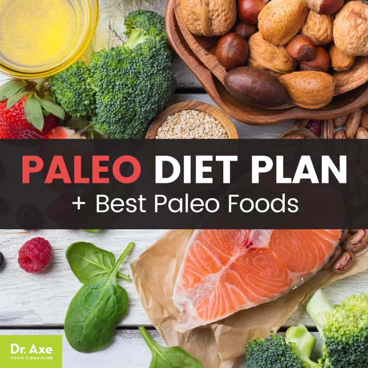 Paleo Diet Plan, Foods And Recipes