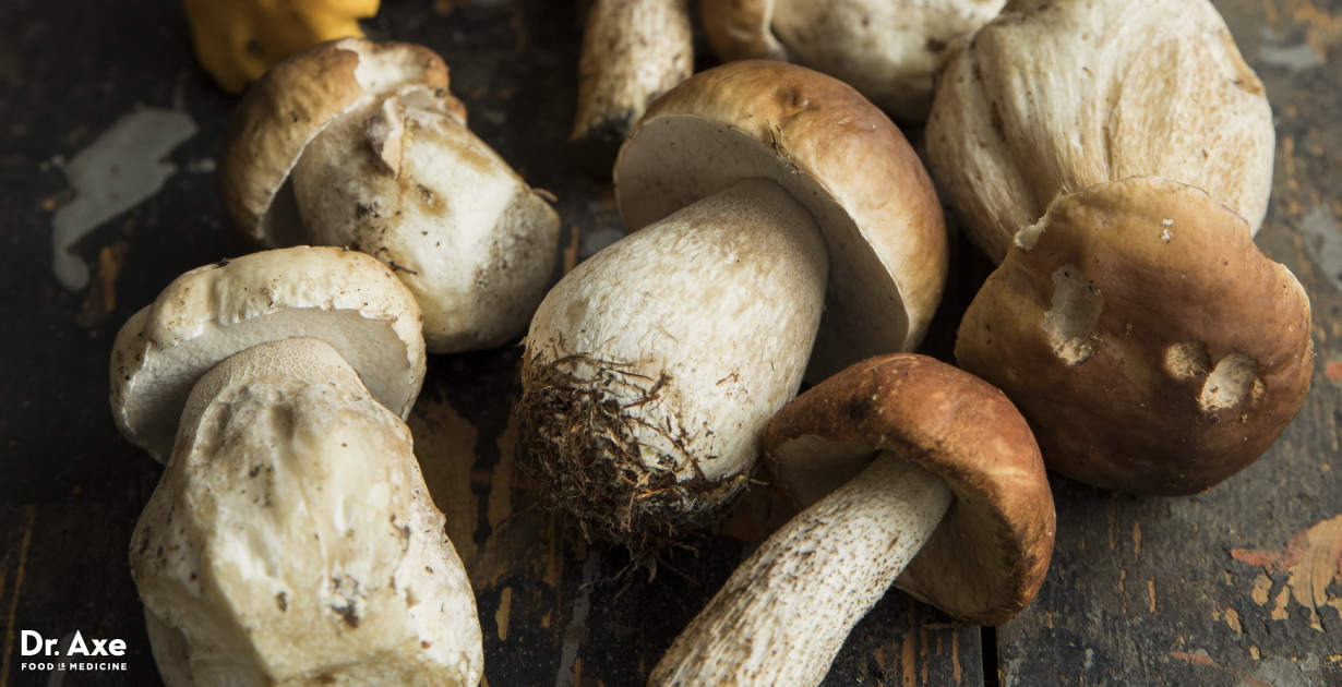Porcini Mushrooms 6 Reasons To Eat Them You Won T Believe Dr Axe,Meatloaf Recipe With Bacon