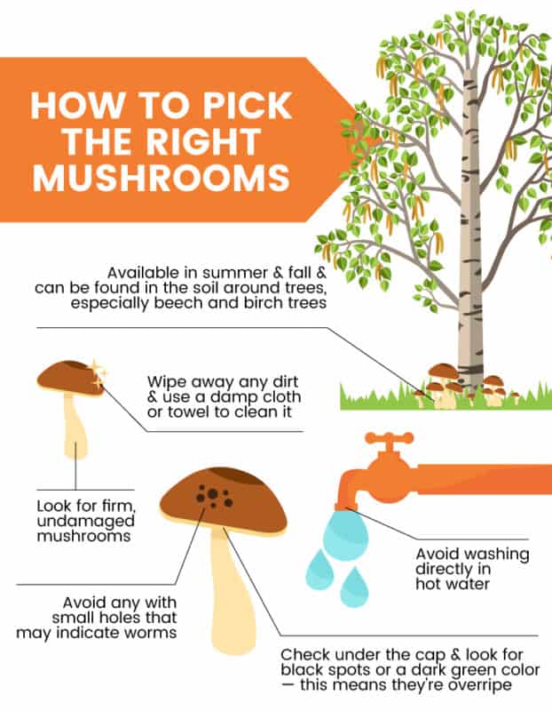 Porcini Mushrooms 6 Reasons to Eat Them You Won't Believe Dr. Axe