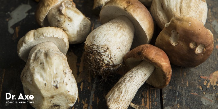 Porcini mushrooms - Dr. Axe