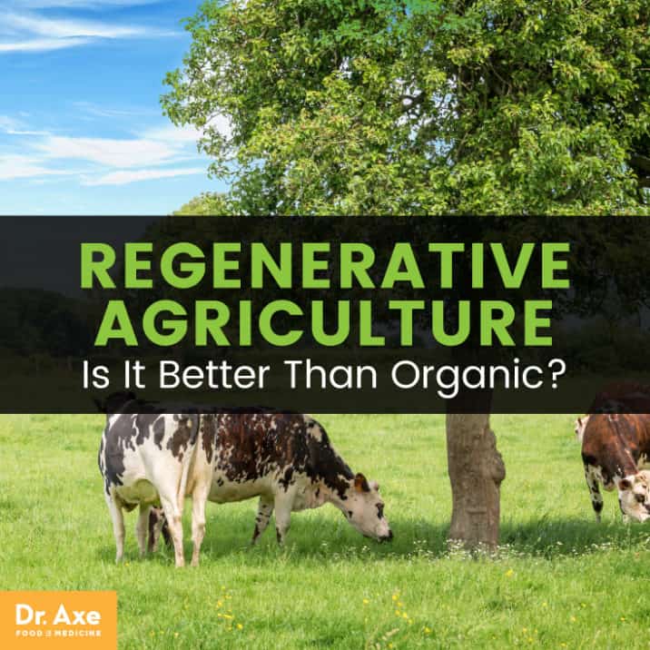 Regenerative Agriculture Principles + Why Different Than Organic Dr. Axe