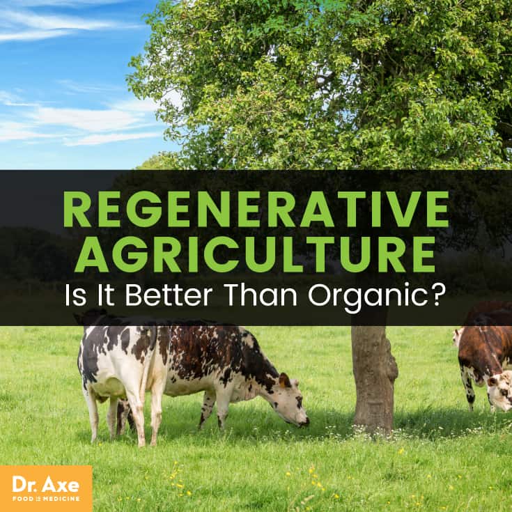 Regenerative agriculture - Dr. Axe