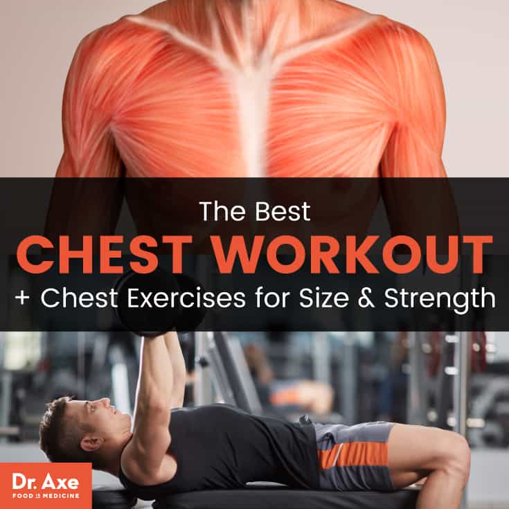 The Best Chest Workouts + Chest Exercises for Size & Strength - Dr. Axe