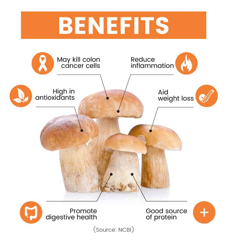 Porcini mushroom benefits - Dr. Axe