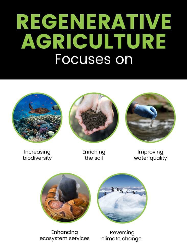 Regenerative agriculture - Dr. Axe
