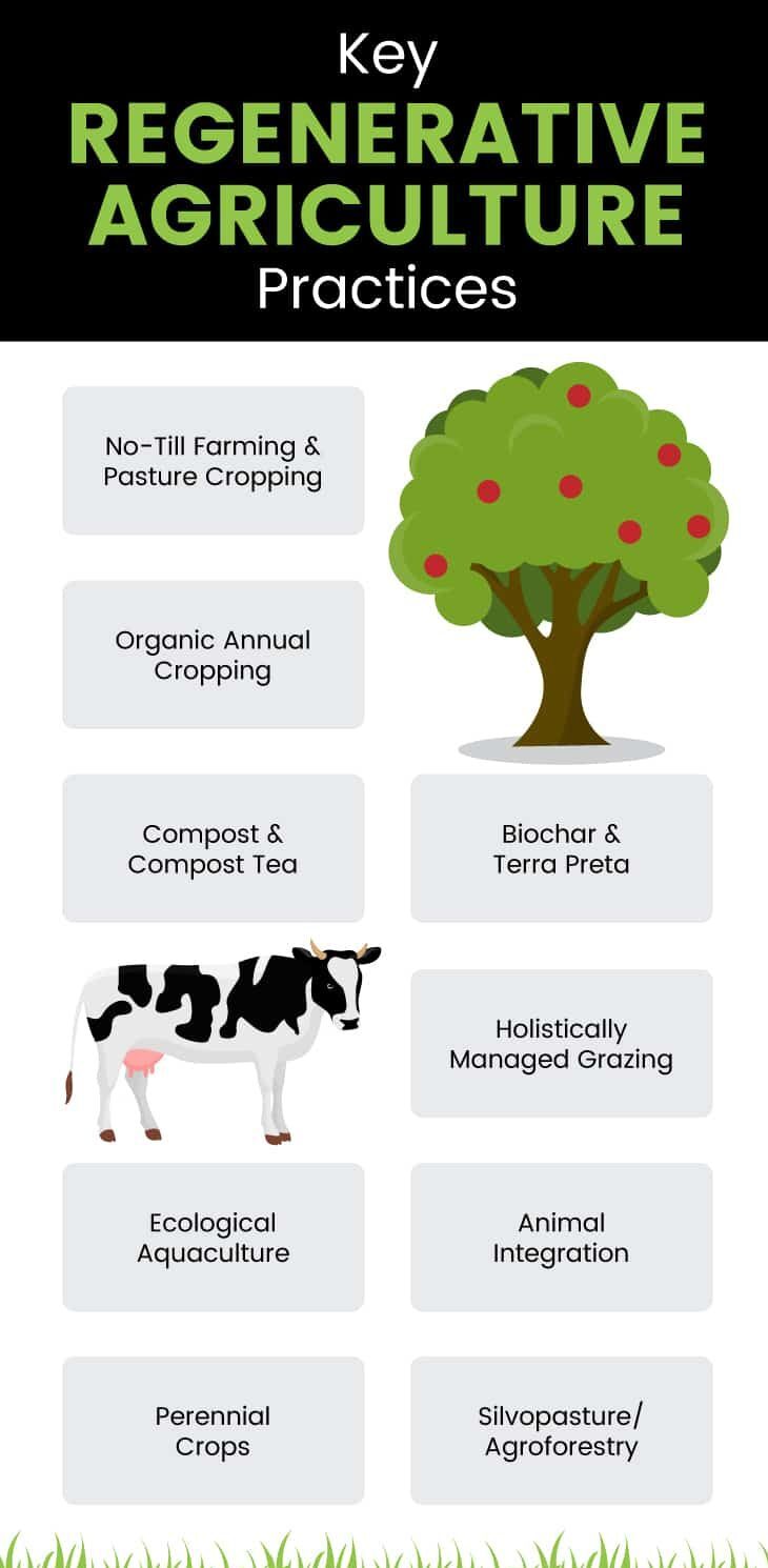 Regenerative agriculture - Dr. Axe